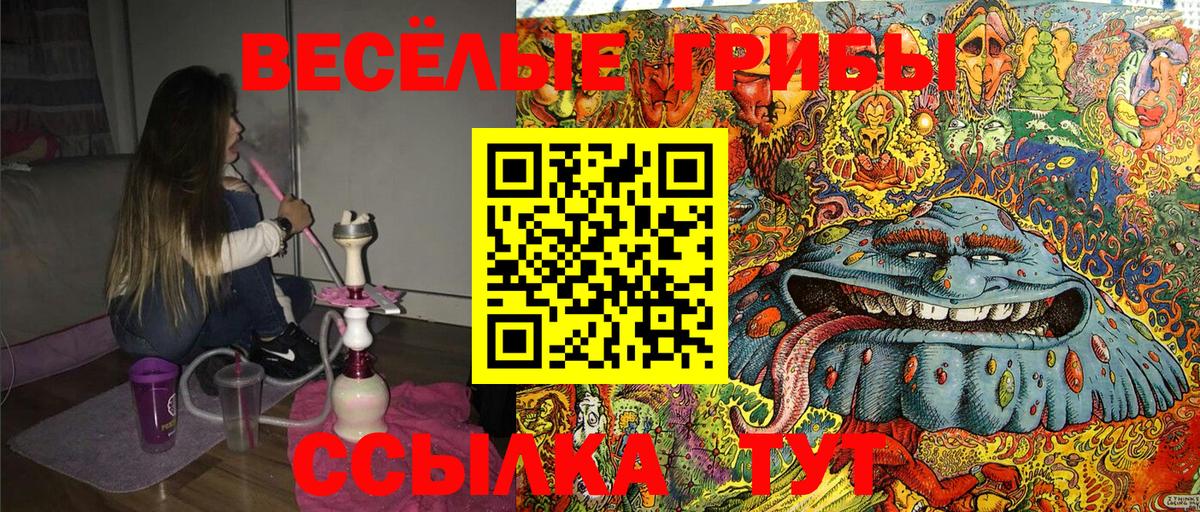 Галлюциногенные грибы MAGIC MUSHROOMS Грозный