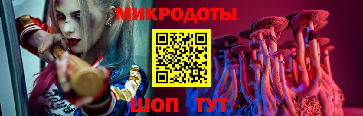 Грозный  Галлюциногенные грибы прущие грибы  Вход с VPN 